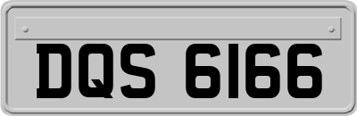 DQS6166