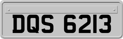 DQS6213