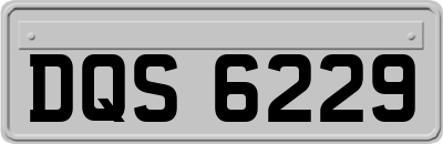 DQS6229