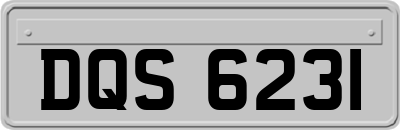 DQS6231
