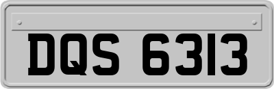 DQS6313
