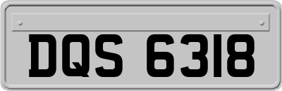 DQS6318
