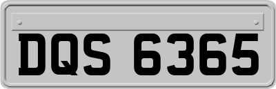 DQS6365