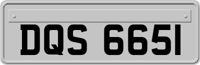 DQS6651