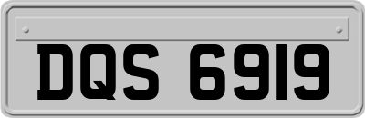 DQS6919