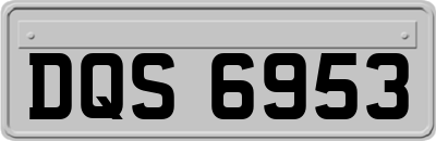 DQS6953