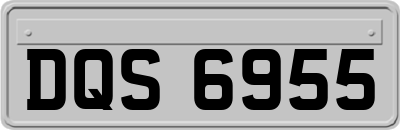 DQS6955