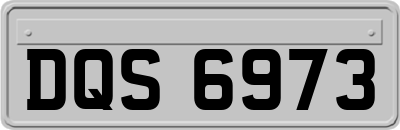 DQS6973