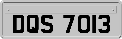 DQS7013
