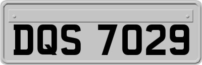 DQS7029
