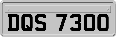 DQS7300