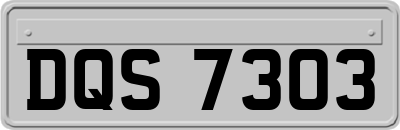 DQS7303