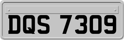 DQS7309