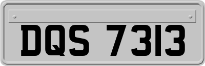 DQS7313