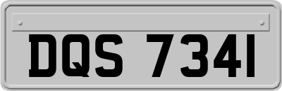 DQS7341