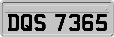 DQS7365