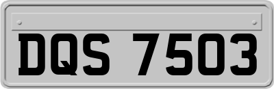 DQS7503