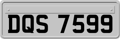 DQS7599
