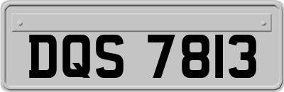 DQS7813