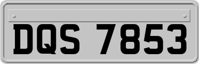 DQS7853