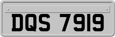 DQS7919