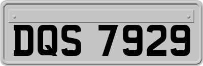 DQS7929