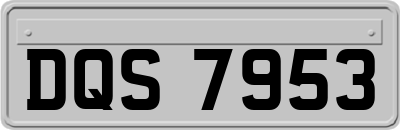 DQS7953