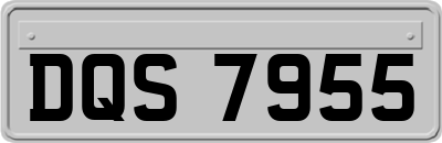 DQS7955
