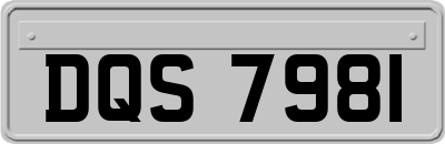 DQS7981