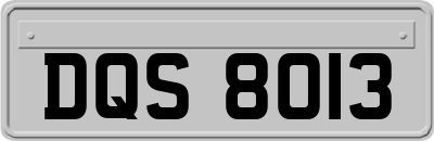 DQS8013