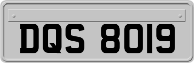 DQS8019