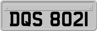 DQS8021
