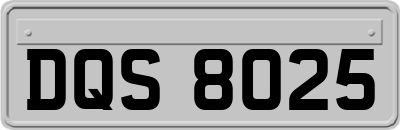 DQS8025