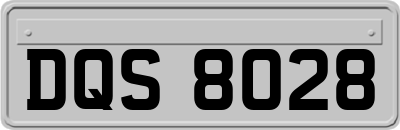 DQS8028