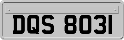 DQS8031