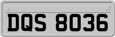DQS8036