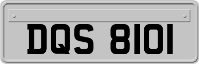DQS8101