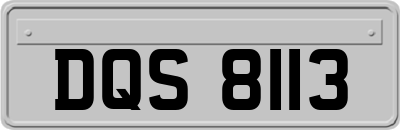 DQS8113