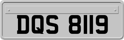 DQS8119