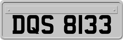 DQS8133
