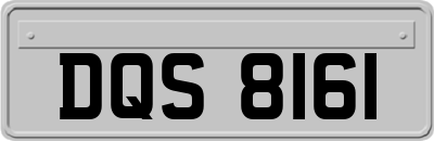 DQS8161