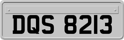 DQS8213
