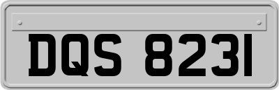 DQS8231