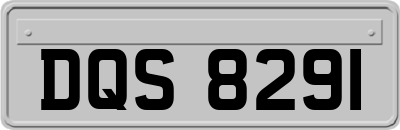 DQS8291