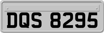 DQS8295
