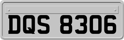 DQS8306