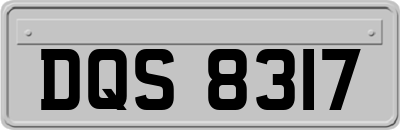 DQS8317