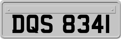 DQS8341