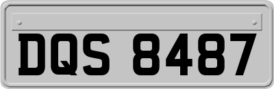 DQS8487