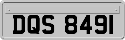 DQS8491